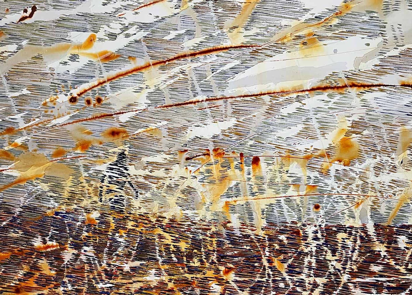 Berder_1200x628