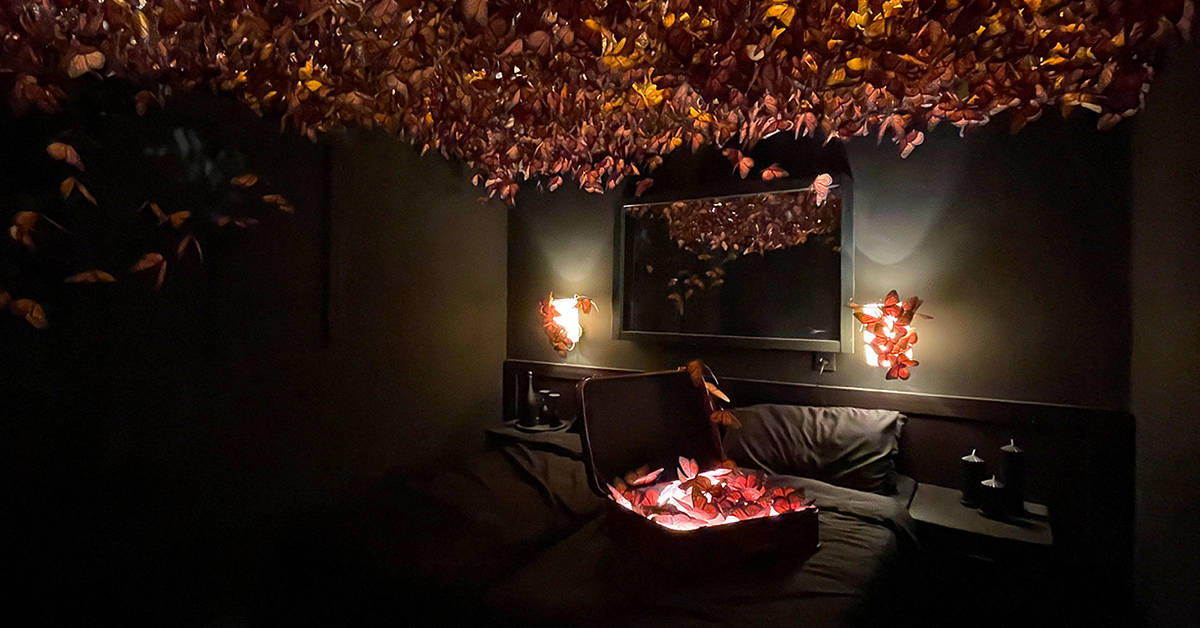 Room 304 1200x628 (3)
