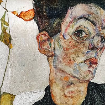 Schile 1140x554