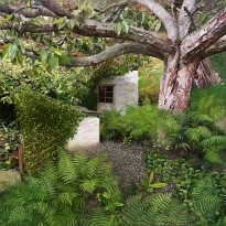 Алексей Бегак — Папоротники, 2011 (холст, масло)