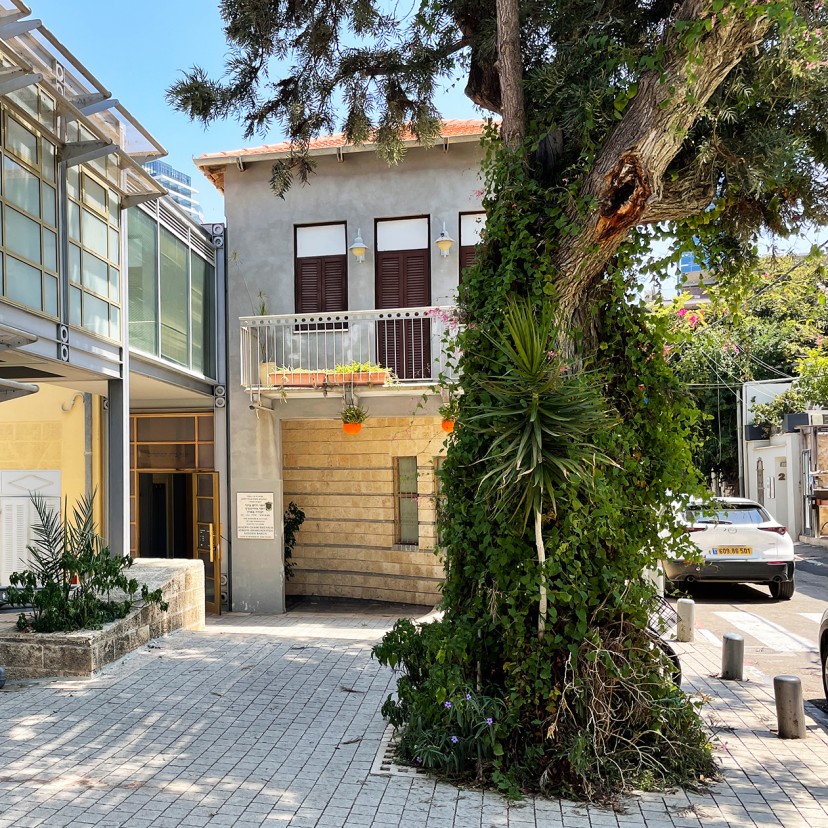 В музее Нахума Гутмана