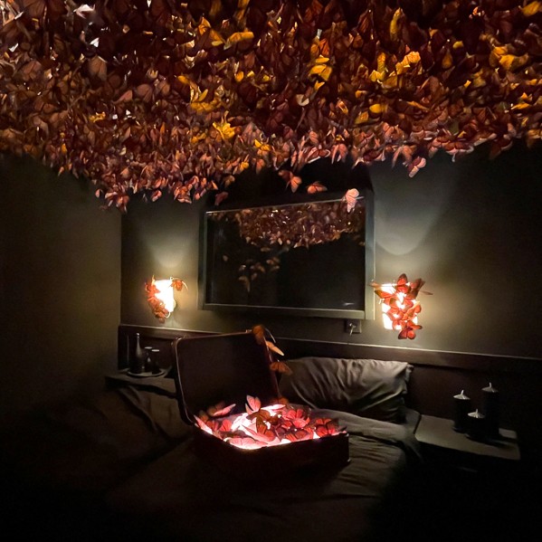 Комната 304. Томер Таль Зайонс, Шен Алон — Люкс «Монарх»