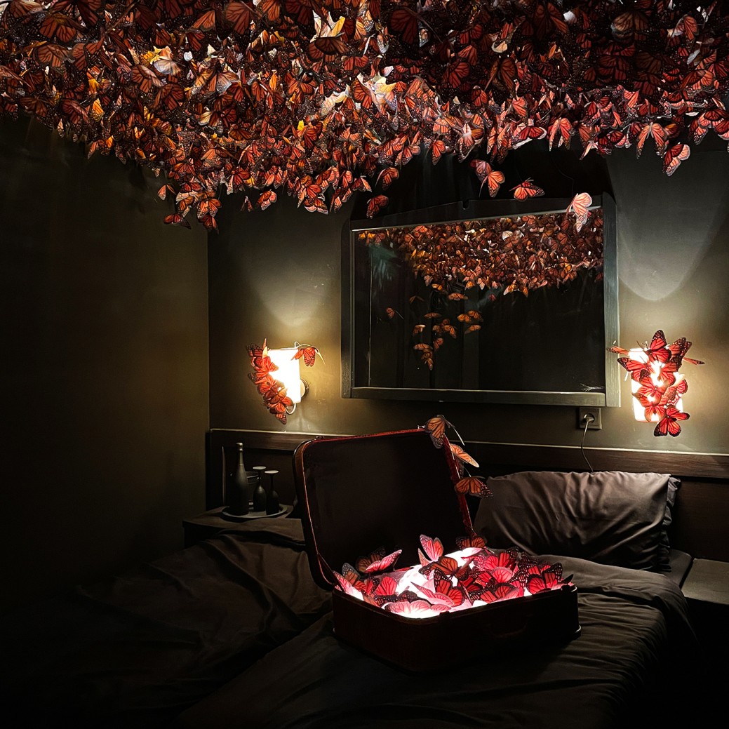 Комната 304. Томер Таль Зайонс, Шен Алон — Люкс «Монарх»