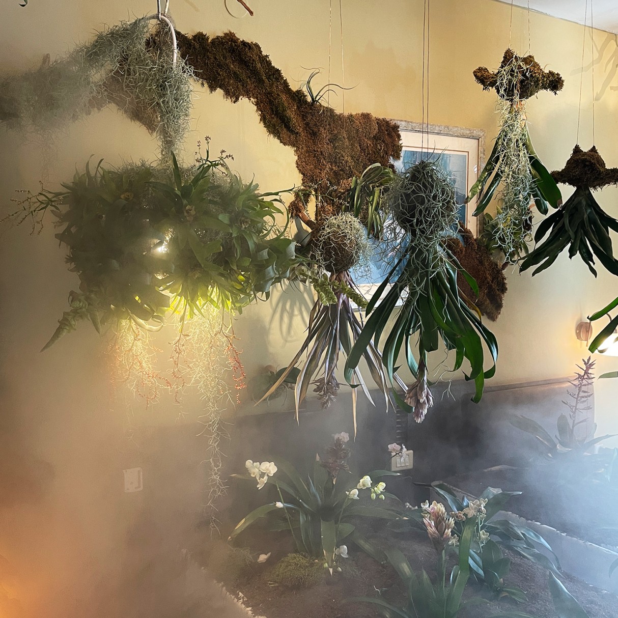 Комната 306. EarthCode, KokedamasLove — Незнакомец | Места обитания