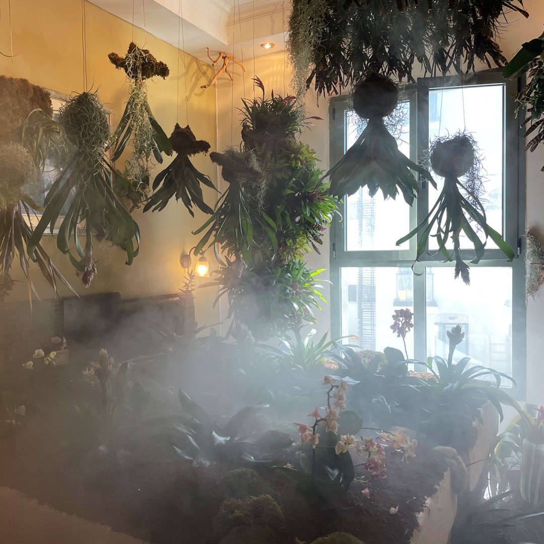 Комната 306. EarthCode, KokedamasLove — Незнакомец | Места обитания