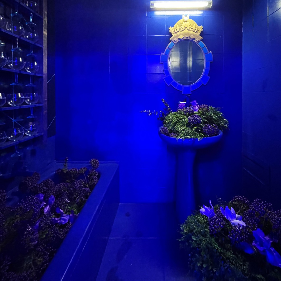 Комната 308. Омри Вакнин, Лидар Фарджун — Бомбейский сапфир