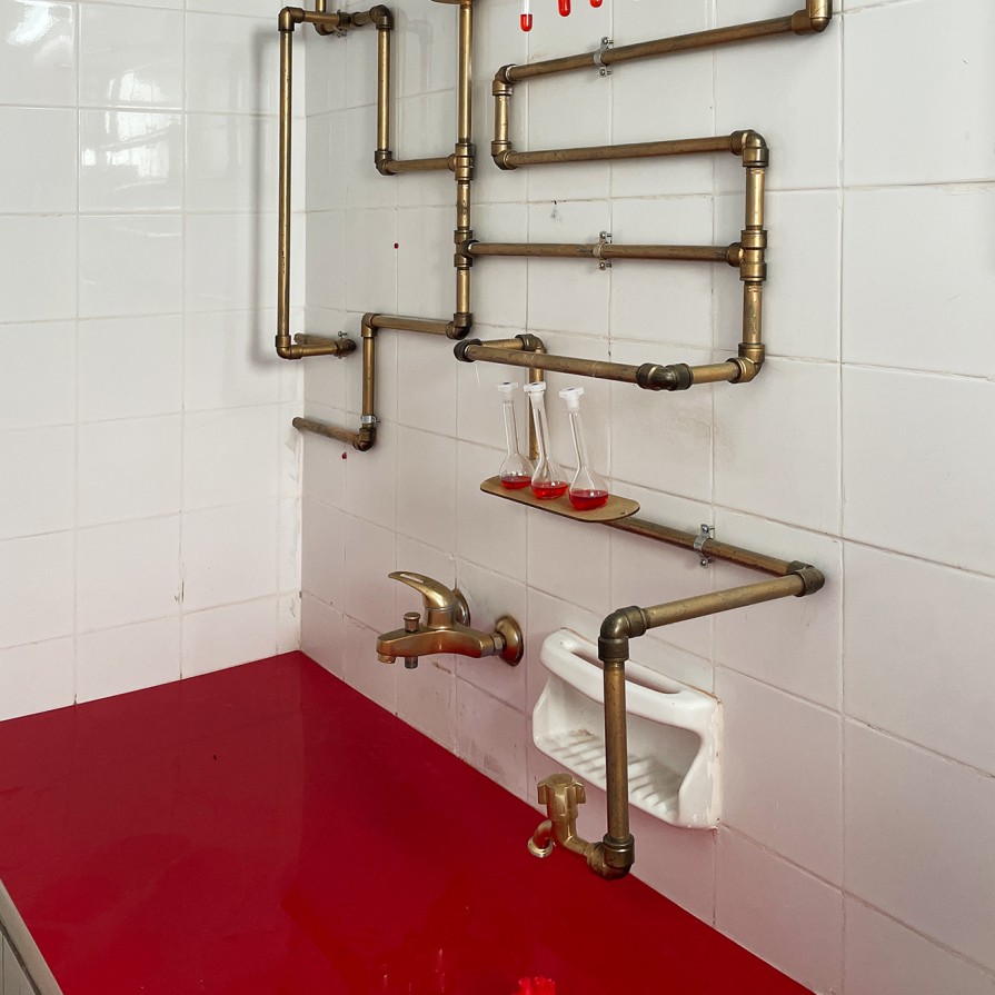 Комната 314. Личен Карлински — Покупное сердце