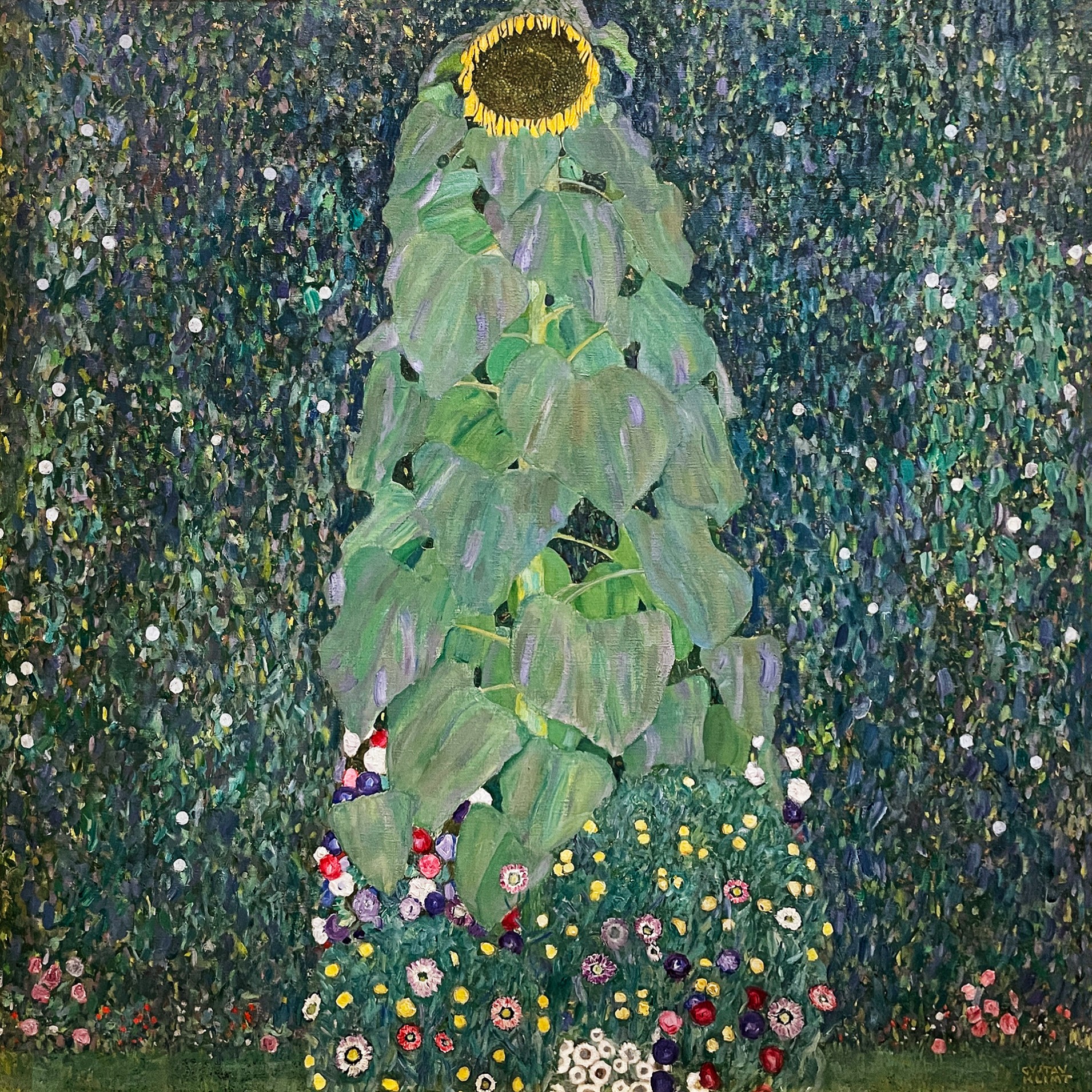 Подсолнух, 1908 (холст, масло). Венский Бельведер