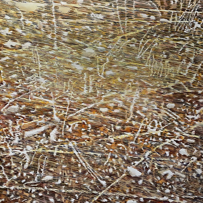 Майя Коэн Леви — Поле D1 из серии 'Поля', 2021 (холст, масло, жидкий акрил)