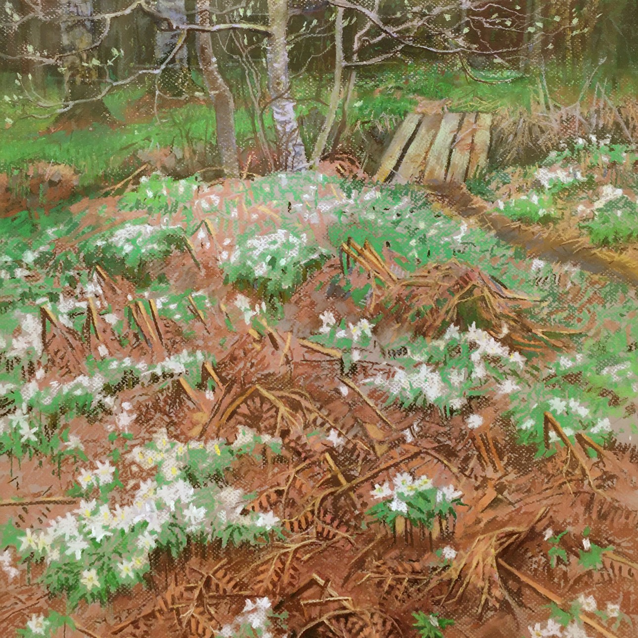 Масленникова Мария — Тропинка в лес (бумага, пастель), 2014