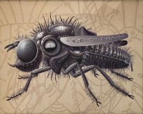 Александр Федоров — Муха комнатная, 2008 (бумага, принт)