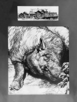 Галина Ершова — Свинка, 2012 (бумага, тушь)