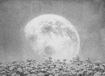 Ухналев Евгений - Восход Луны, 2005 (бумага, тушь)