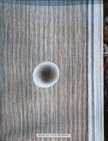 Юрий Дышленко — Движение тела вверх, 1994 (холст, масло)