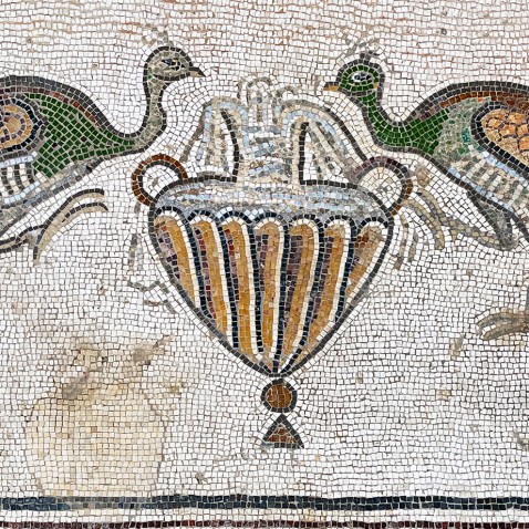 Павлины у потира