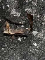 Чжан Хуань - Иван Грозный и его сын Иван, 2019  (холст, пепел) фрагмент