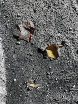 Чжан Хуань - Рождение нового Китая, 2019 (холст, пепел) фрагмент