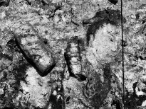 Чжан Хуань - Спрашивая Конфуция №4, 2011 (холст, пепел) фрагмент