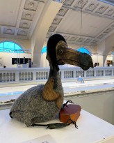 Надежда Кравченко — Додо.