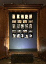 Валерий Гриковский - 23 объекта из серии 'Страсти по Линнею', 2014-18 (многослойная графика, бумага, тушь, пластик)