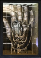 Валерий Гриковский - 23 объекта из серии 'Страсти по Линнею', 2014-18 (многослойная графика, бумага, тушь, пластик)