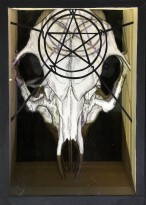 Валерий Гриковский - 23 объекта из серии 'Страсти по Линнею', 2014-18 (многослойная графика, бумага, тушь, пластик) 22