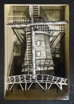 Валерий Гриковский - 23 объекта из серии 'Страсти по Линнею', 2014-18 (многослойная графика, бумага, тушь, пластик) 24