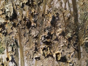 Ярмо Мякиля - Мальчик, превратившийся в оленя у Тайных Ворот II, фрагмент 2, 2013 (холст, масло)