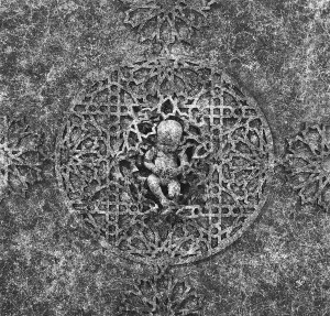 Мариам Аль Суэйди - Генетика (23) Ген CTRA (Выражение), 2016 (смешанные материалы, акриловая резина, дерево) 