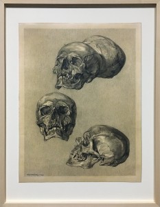 Максимилан Клевер - Черепа, 1909