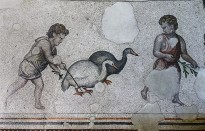 Полы дворца