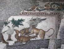 Полы дворца