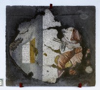 Полет птиц.