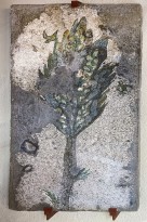 Кипарис. Сектор Е