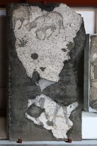 Лошадь и овечка на выпасе