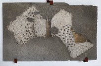 Сливовое дерево. Юго-западный зал.