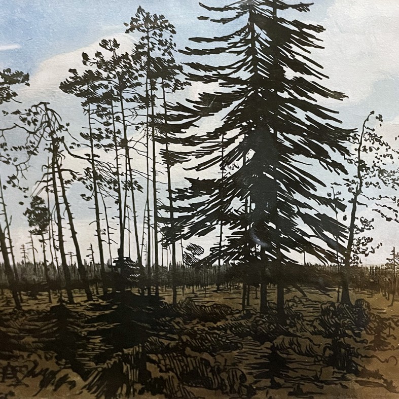 Анна Остроумова-Лебедева — Финляндия с голубым небом, 1900 (цветная ксилография)