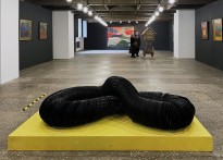 Петр Рейхет — Виниловая ностальгия (Виниловый монстр), 2007 (2400 виниловых пластинок) сзади