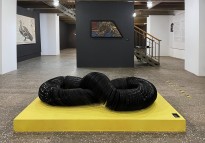 Петр Рейхет — Виниловая ностальгия (Виниловый монстр), 2007 (2400 виниловых пластинок) спереди