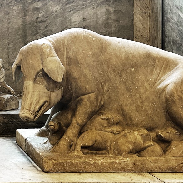 Свиноматка и поросята