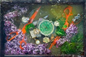 1166 7 1 Ilona Kryzhanivska