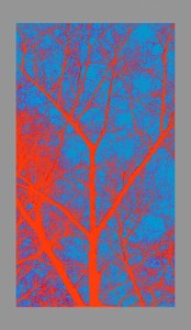 1225 2 1 Dimitri Pavlov