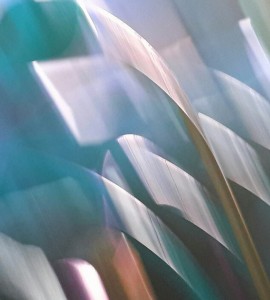 1225 3 1 Inna Shirokova