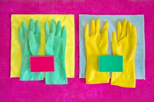 Екатерина Елагина