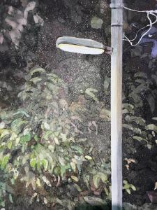 Минори Такаяма - Дорога домой, 2017 (фрагмент)