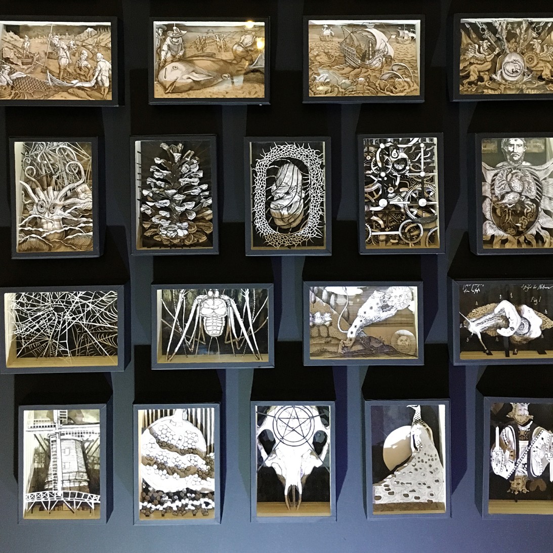 Валерий Гриковский — Страсти по Линнею, 2014-2018 (многослойная графика, бумага, тушь, пластик)