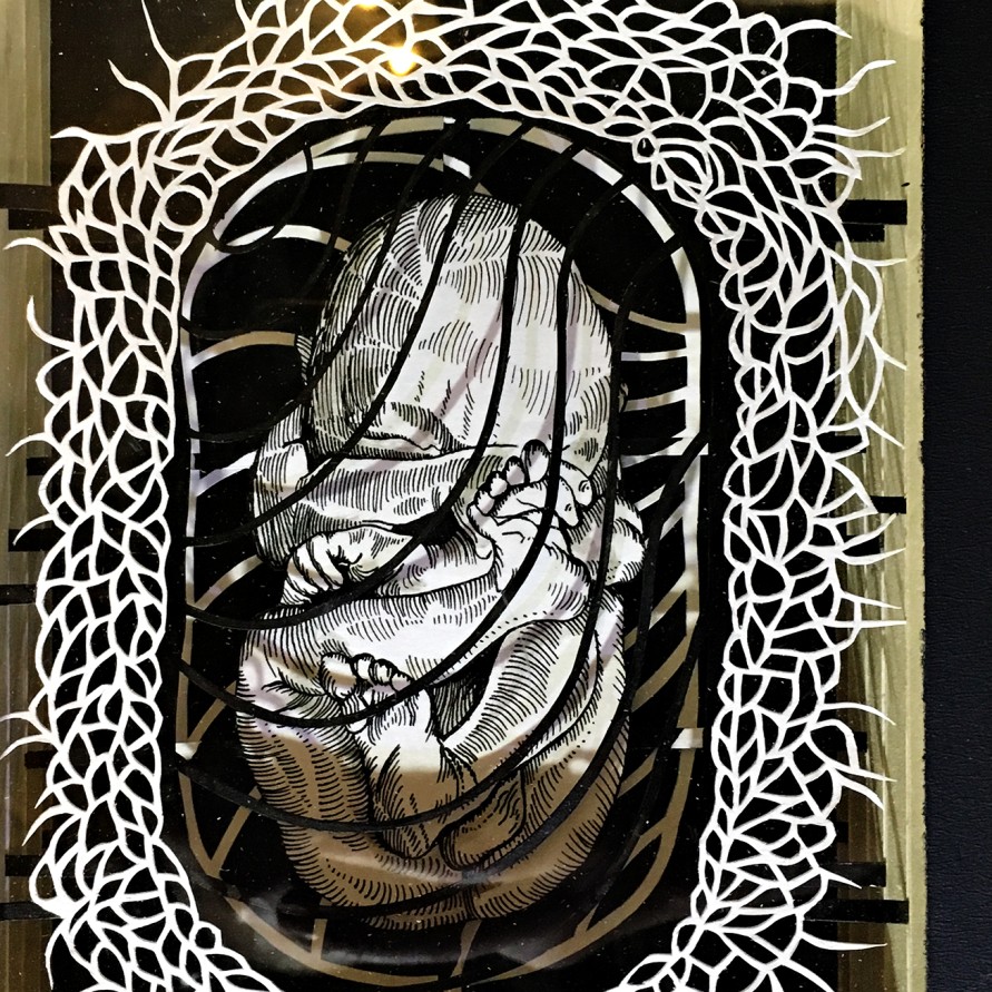 Валерий Гриковский — Страсти по Линнею_13, 2014-2018 (многослойная графика, бумага, тушь, пластик)