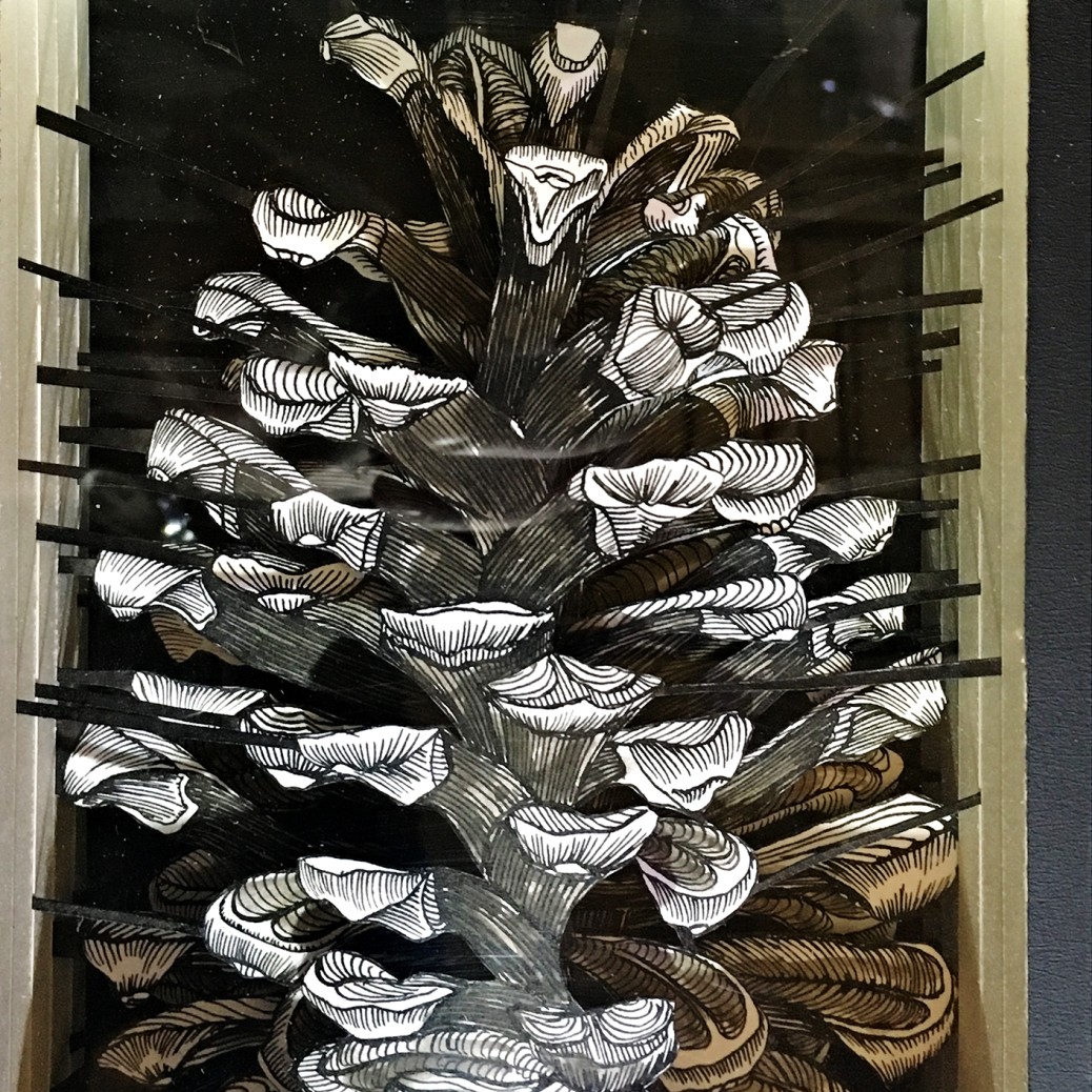 Валерий Гриковский — Страсти по Линнею_14, 2014-2018 (многослойная графика, бумага, тушь, пластик)