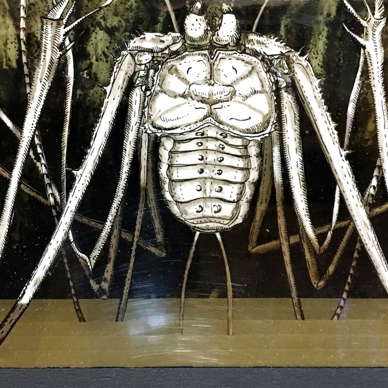 Валерий Гриковский — Страсти по Линнею_18, 2014-2018 (многослойная графика, бумага, тушь, пластик)