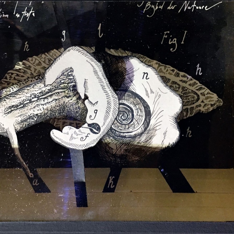 Валерий Гриковский — Страсти по Линнею_20, 2014-2018 (многослойная графика, бумага, тушь, пластик)